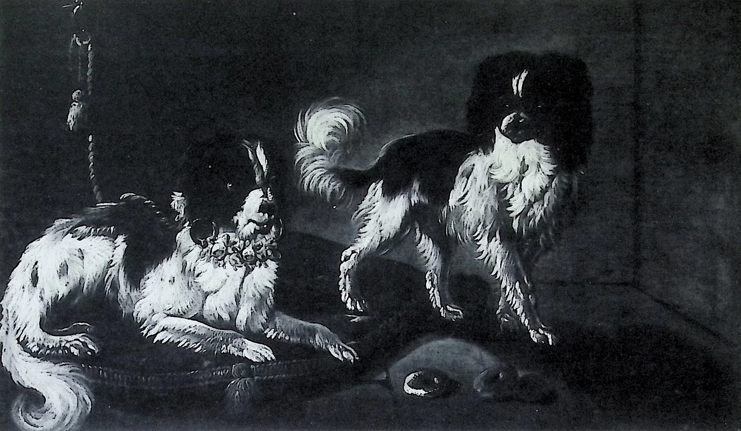Giacomo Ceruti, il Pitocchetto - 292, Ritratto di cani